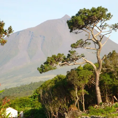 Курортный комплекс Aldeia Da Fonte Лажеш