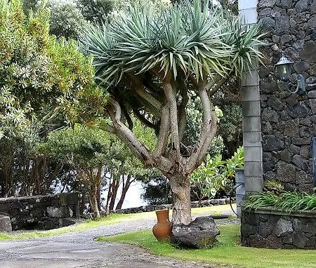 Aldeia Da Fonte Resort Lajes do Pico