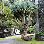Aldeia Da Fonte Resort Lajes do Pico