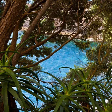 リゾート Aldeia Da Fonte 4*