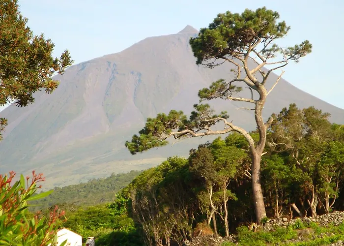 Resort Aldeia Da Fonte Lajes do Pico