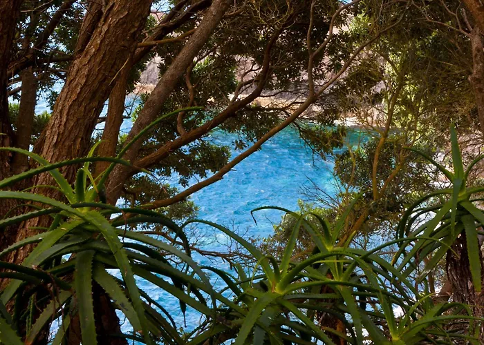 Resort Aldeia Da Fonte 4*